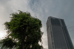写真作例 オールドレンズとミラーレス