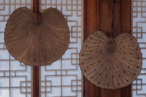 写真作例 オールドレンズとミラーレス