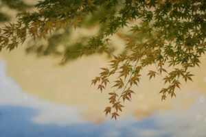 写真作例 オールドレンズとミラーレス