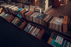 写真作例 オールドレンズとミラーレス