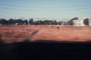 写真作例 オールドレンズとミラーレス