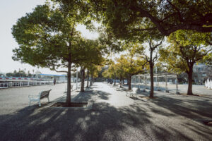 写真作例 オールドレンズとミラーレス