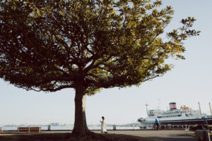 写真作例 オールドレンズとミラーレス