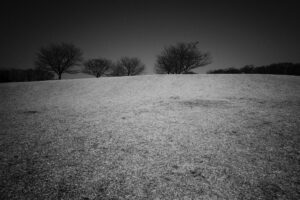 写真作例 オールドレンズとミラーレス