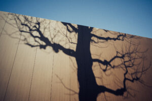 写真作例 オールドレンズとミラーレス