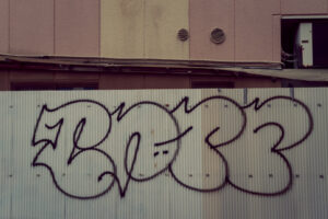 写真作例 オールドレンズとミラーレス