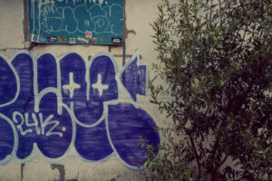 写真作例 オールドレンズとミラーレス