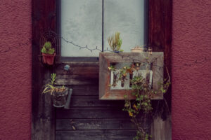 写真作例 オールドレンズとミラーレス