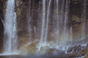 写真作例 オールドレンズとミラーレス