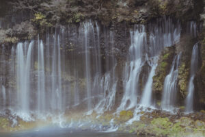 写真作例 オールドレンズとミラーレス