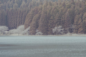 写真作例 オールドレンズとミラーレス