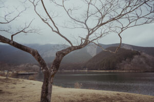 写真作例 オールドレンズとミラーレス