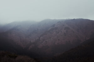 写真作例 オールドレンズとミラーレス