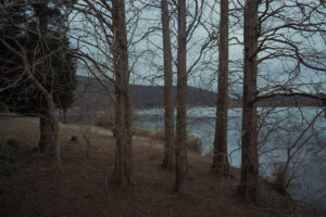 写真作例 オールドレンズとミラーレス