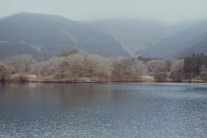 写真作例 オールドレンズとミラーレス