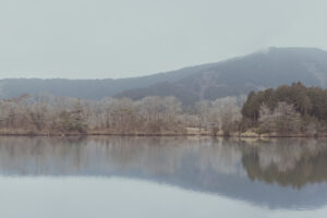 写真作例 オールドレンズとミラーレス