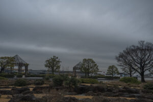 写真作例 オールドレンズとミラーレス