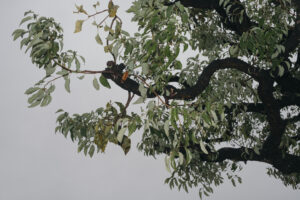 写真作例 オールドレンズとミラーレス