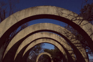 写真作例 オールドレンズとミラーレス