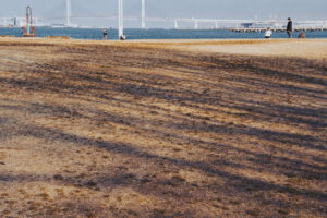 写真作例 オールドレンズとミラーレス