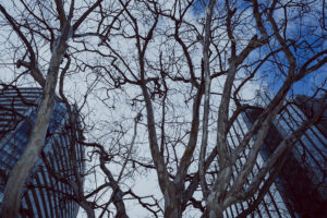 写真作例 オールドレンズとミラーレス