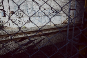 写真作例 オールドレンズとミラーレス