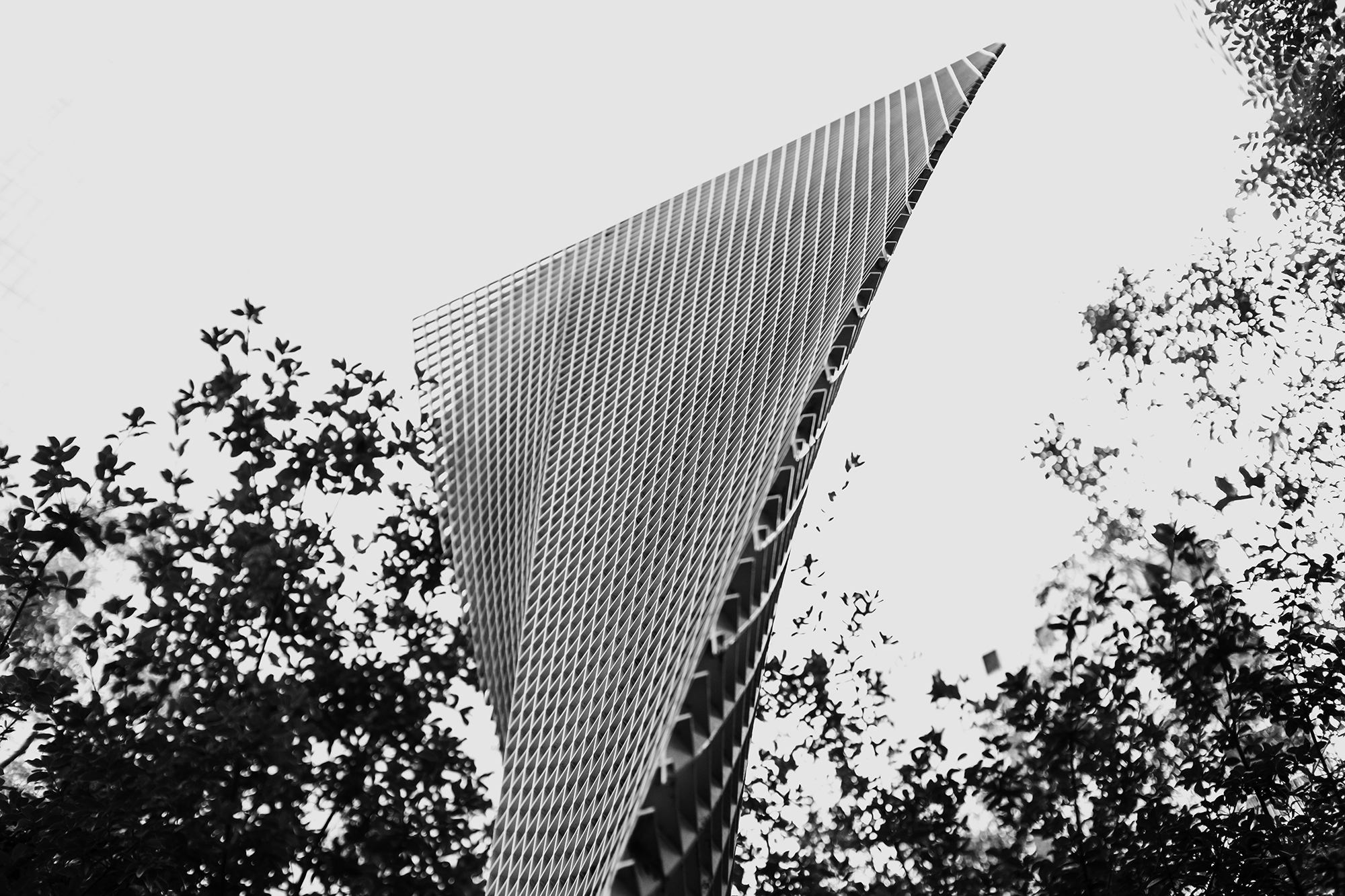 写真作例 マニュアルレンズとミラーレス