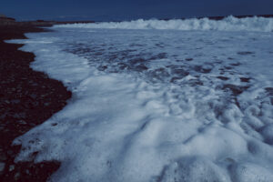 写真作例 オールドレンズとミラーレス