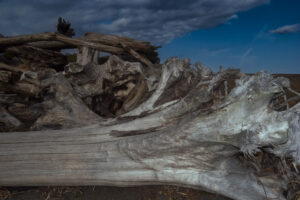 写真作例 オールドレンズとミラーレス