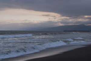 写真作例 オールドレンズとミラーレス