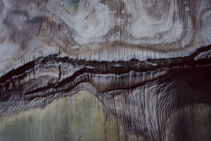 写真作例 オールドレンズとミラーレス