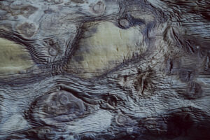 写真作例 オールドレンズとミラーレス