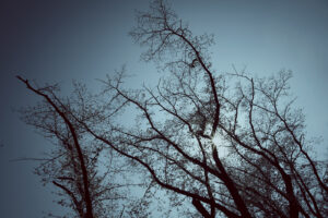 写真作例 オールドレンズとミラーレス