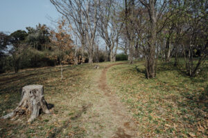 写真作例 オールドレンズとミラーレス