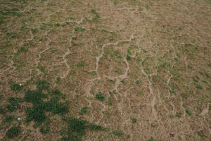 写真作例 オールドレンズとミラーレス