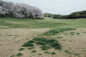 写真作例 オールドレンズとミラーレス