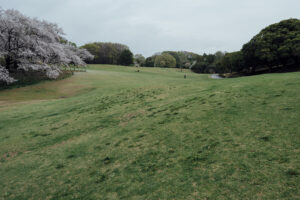 写真作例 オールドレンズとミラーレス