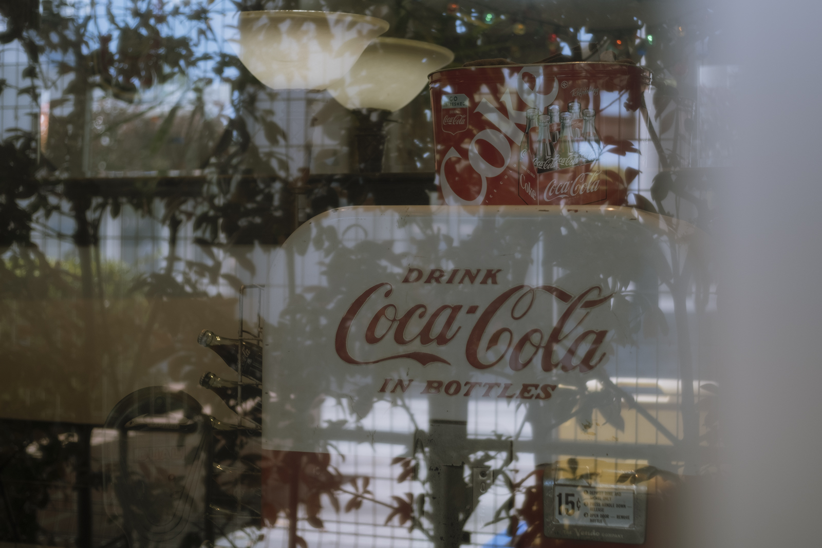 写真作例 マニュアルレンズとミラーレス