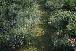 写真作例 オールドレンズとミラーレス