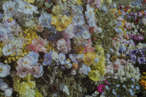 写真作例 オールドレンズとミラーレス