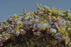 写真作例 オールドレンズとミラーレス