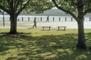 写真作例 オールドレンズとミラーレス