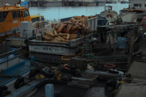 写真作例 オールドレンズとミラーレス