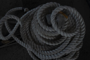 写真作例 オールドレンズとミラーレス