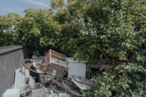 写真作例 オールドレンズとミラーレス