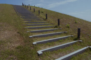 写真作例 オールドレンズとミラーレス