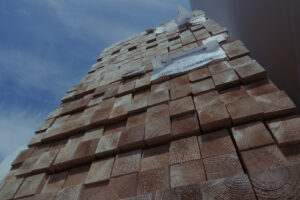 写真作例 オールドレンズとミラーレス