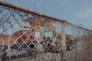 写真作例 オールドレンズとミラーレス