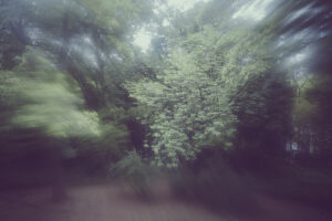 写真作例 オールドレンズとミラーレス