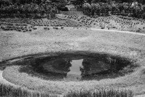 写真作品